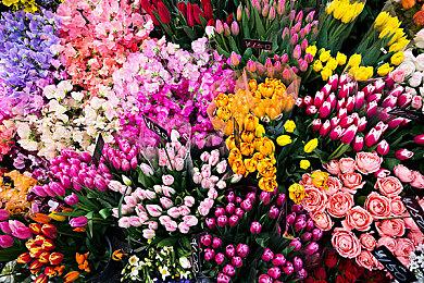 ELECTRONIC ARTS 展望《EA SPORTS FC™》  以及实机游玩首度亮相